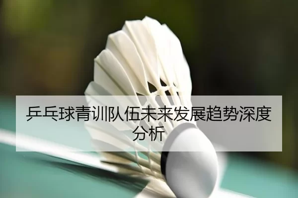 乒乓球青训队伍未来发展趋势深度分析